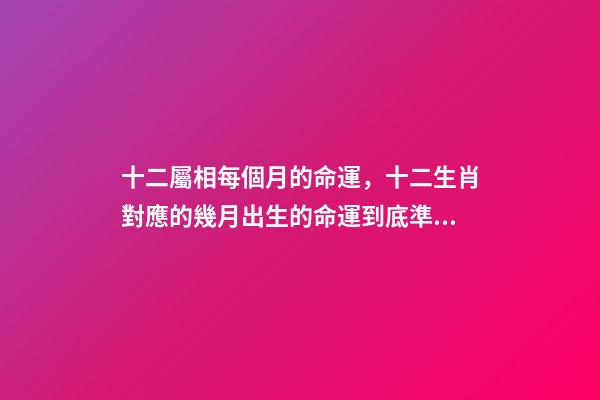 十二屬相每個月的命運，十二生肖對應的幾月出生的命運到底準不準？ 屬兔人出生月的命運屬兔每個月出生詳解-第1張-觀點-玄機派